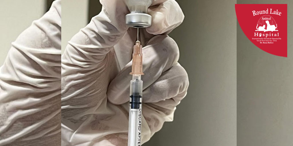 Pet Vaccinations at Round Lake Animal Hospial